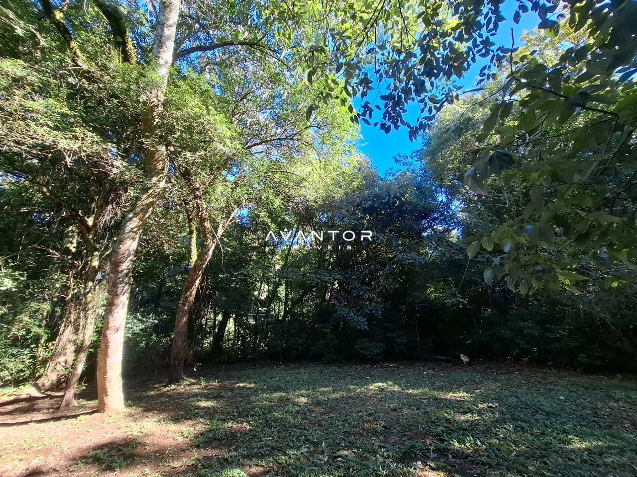 Casa com 3 quartos à venda em Parque Serrano I, Itaara/RS — foto 9 de 9