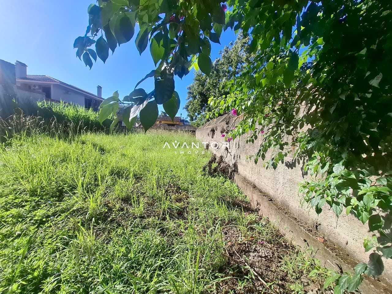Terreno à venda em Pé de Plátano, Santa Maria/RS — foto 2 de 4