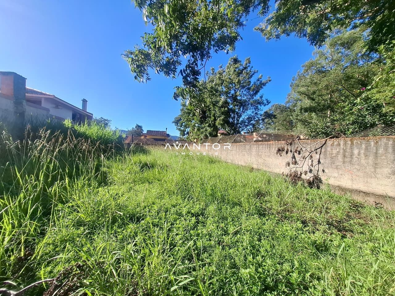 Terreno à venda em Pé de Plátano, Santa Maria/RS — foto 3 de 4
