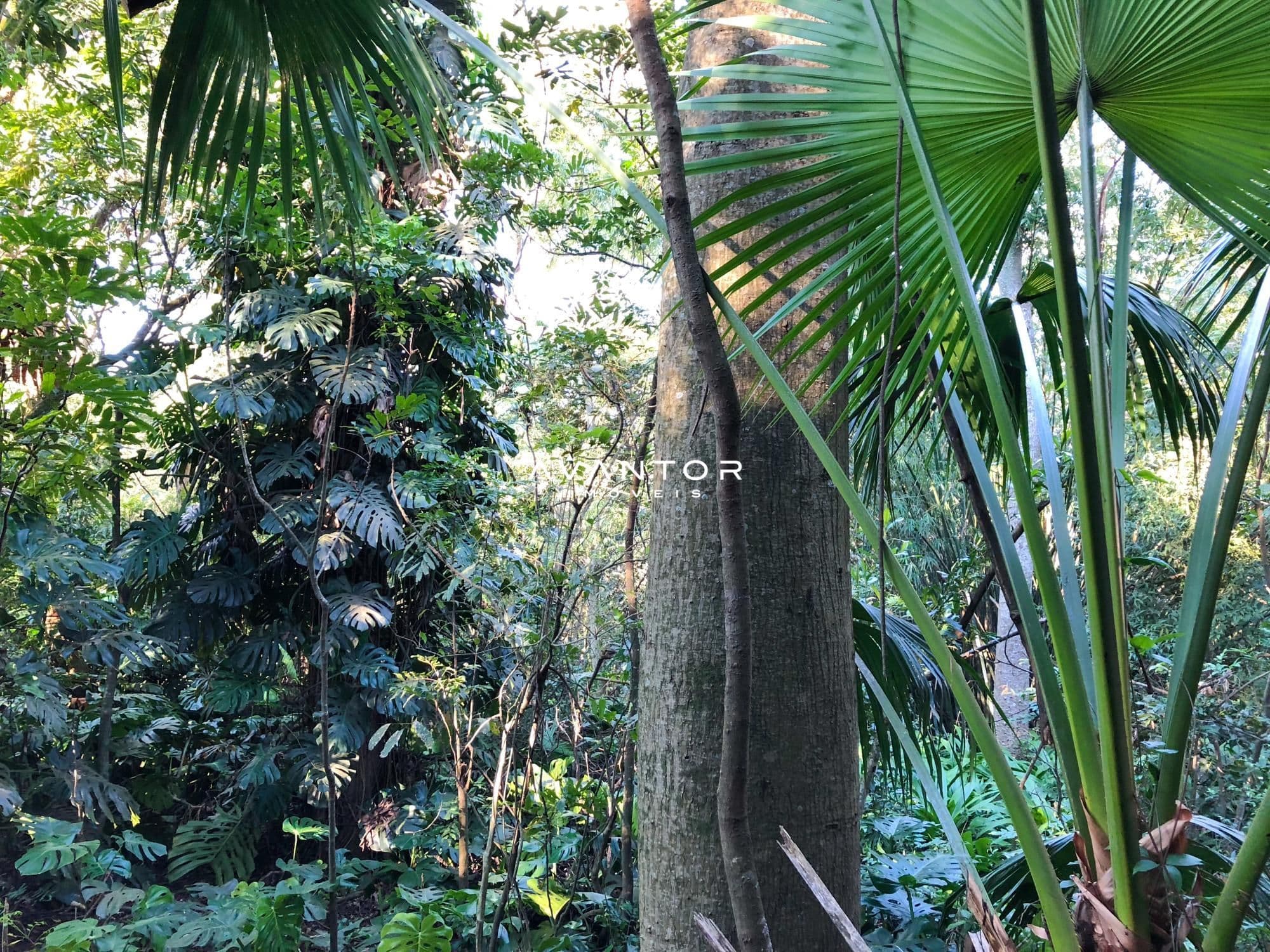 Apartamento com 3 quartos à venda no Residencial Omni Ski, em Nossa Senhora Medianeira, Santa Maria/RS — foto 8 de 31