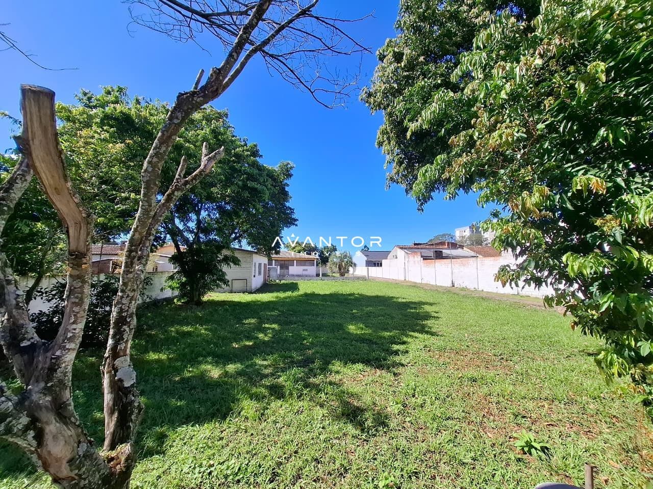 Casa Comercial com 3 salas à venda em Pé de Plátano, Santa Maria/RS — foto 20 de 20