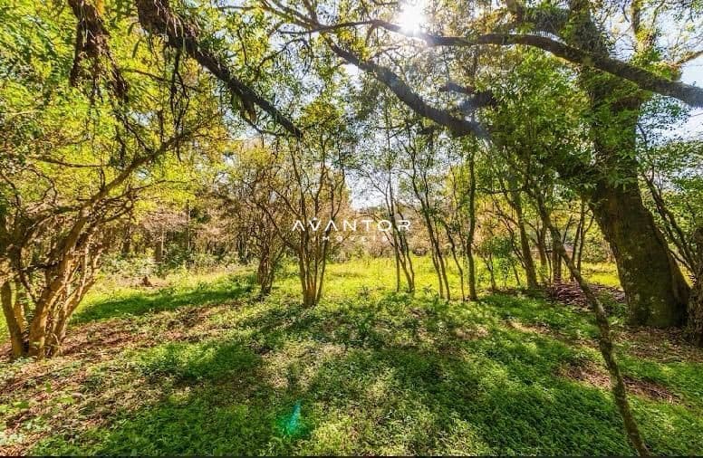 Chácara com 4 quartos à venda em Itaara, Itaara/RS — foto 14 de 15