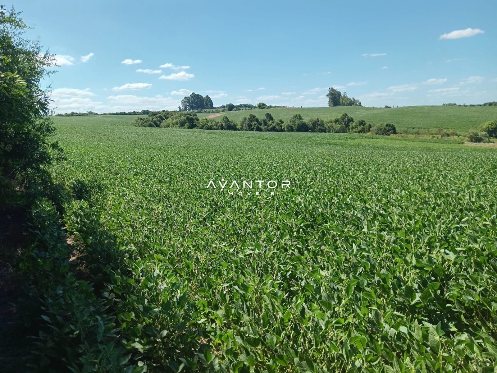 Campo à venda em Zona Rural, São Sepé/RS — foto 2 de 4