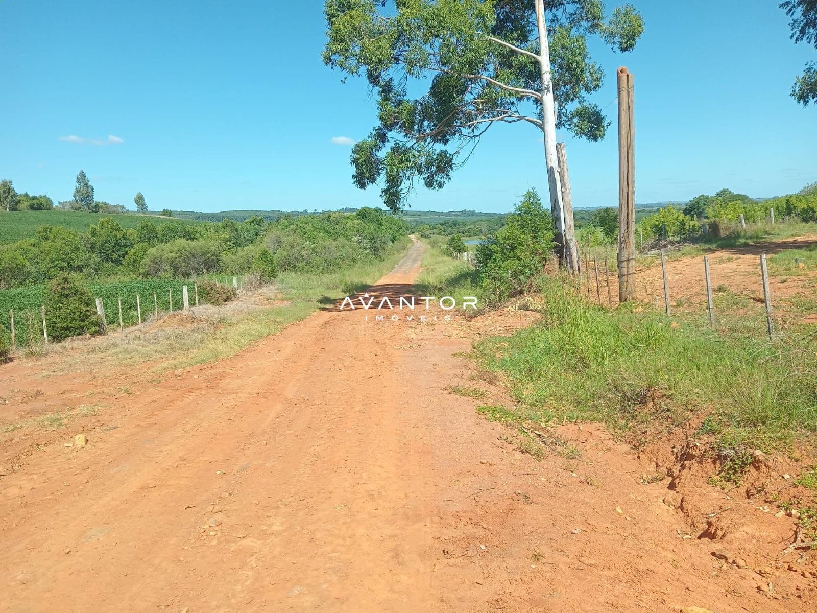 Campo à venda em Zona Rural, São Sepé/RS — foto 3 de 4