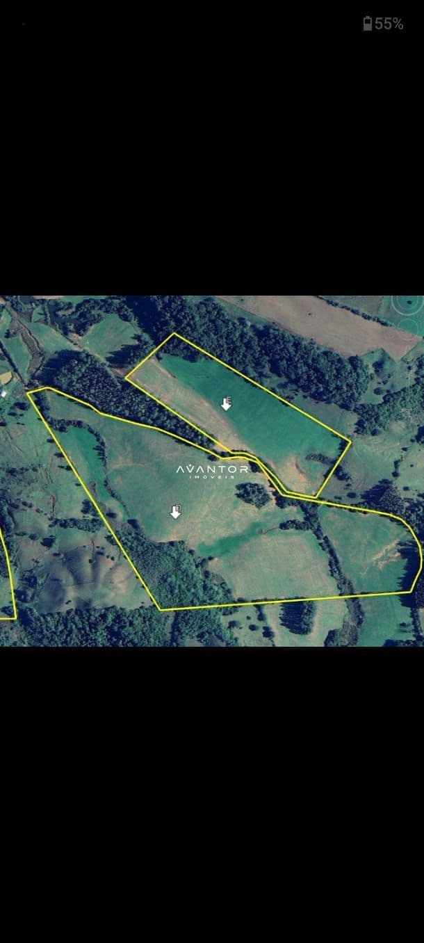 Terreno com mata nativa, vista aérea — Campo à venda em Zona Rural, Mata/RS