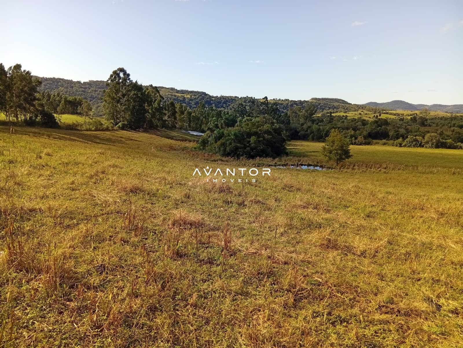 Campo à venda em Zona Rural, São Pedro do Sul/RS — foto 2 de 4
