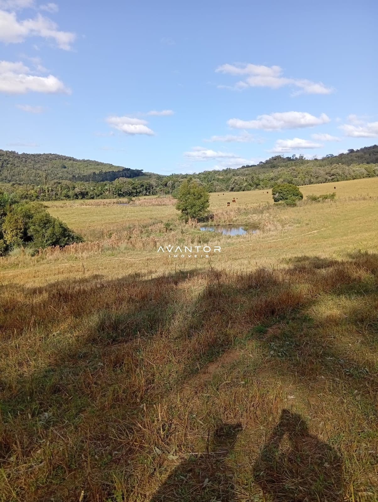 Campo à venda em Zona Rural, São Pedro do Sul/RS — foto 3 de 4