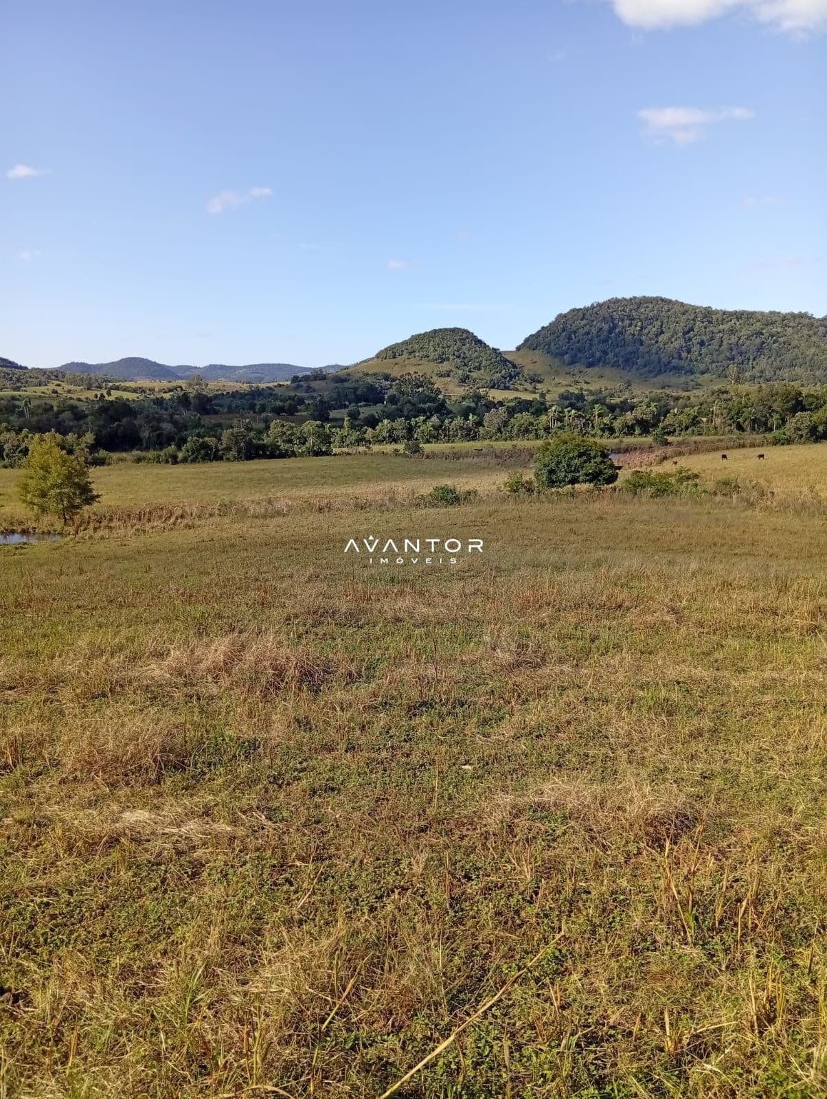 Campo à venda em Zona Rural, São Pedro do Sul/RS — foto 4 de 4