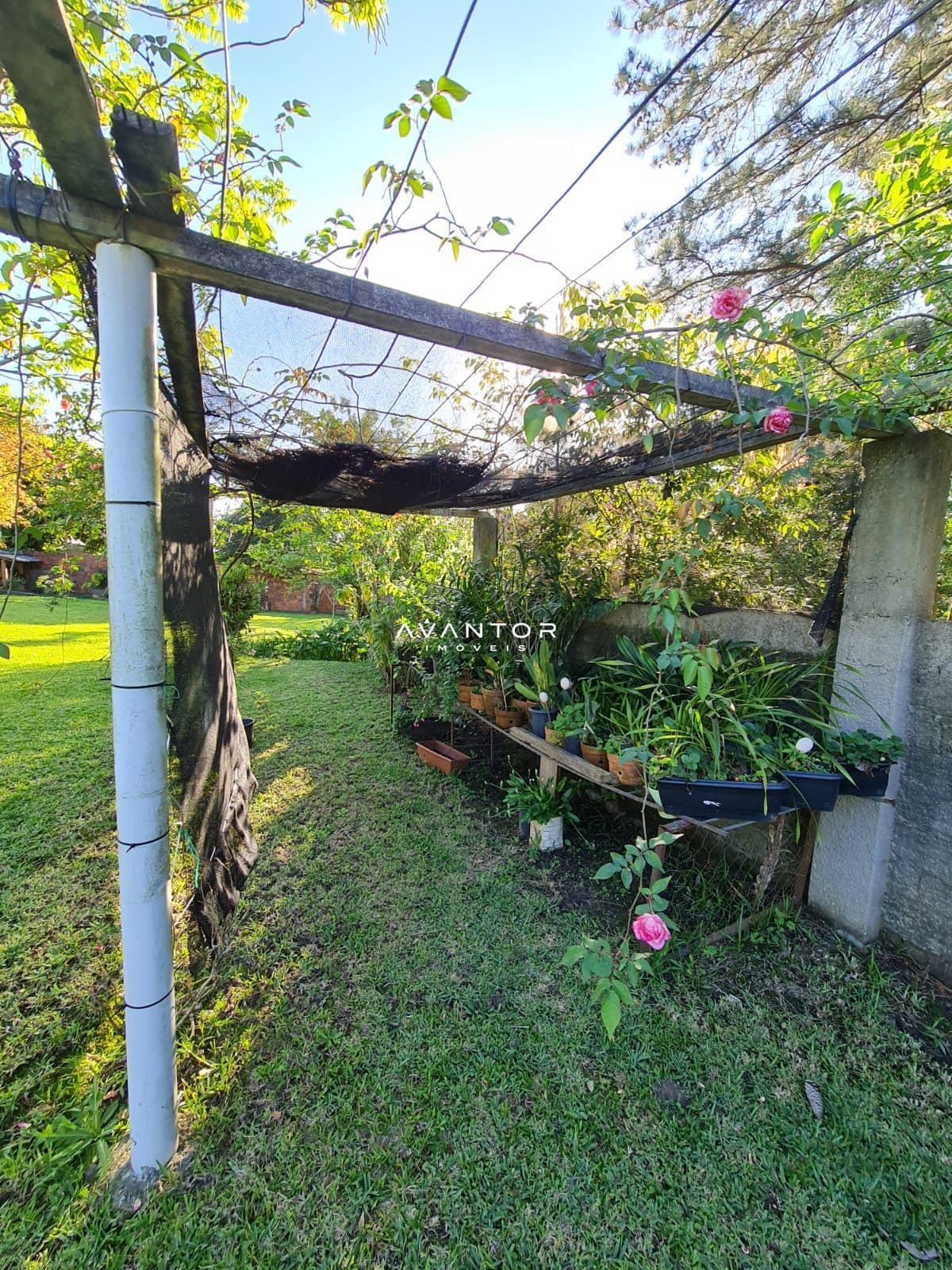Casa com 4 quartos à venda em Tomazetti, Santa Maria/RS — foto 35 de 37