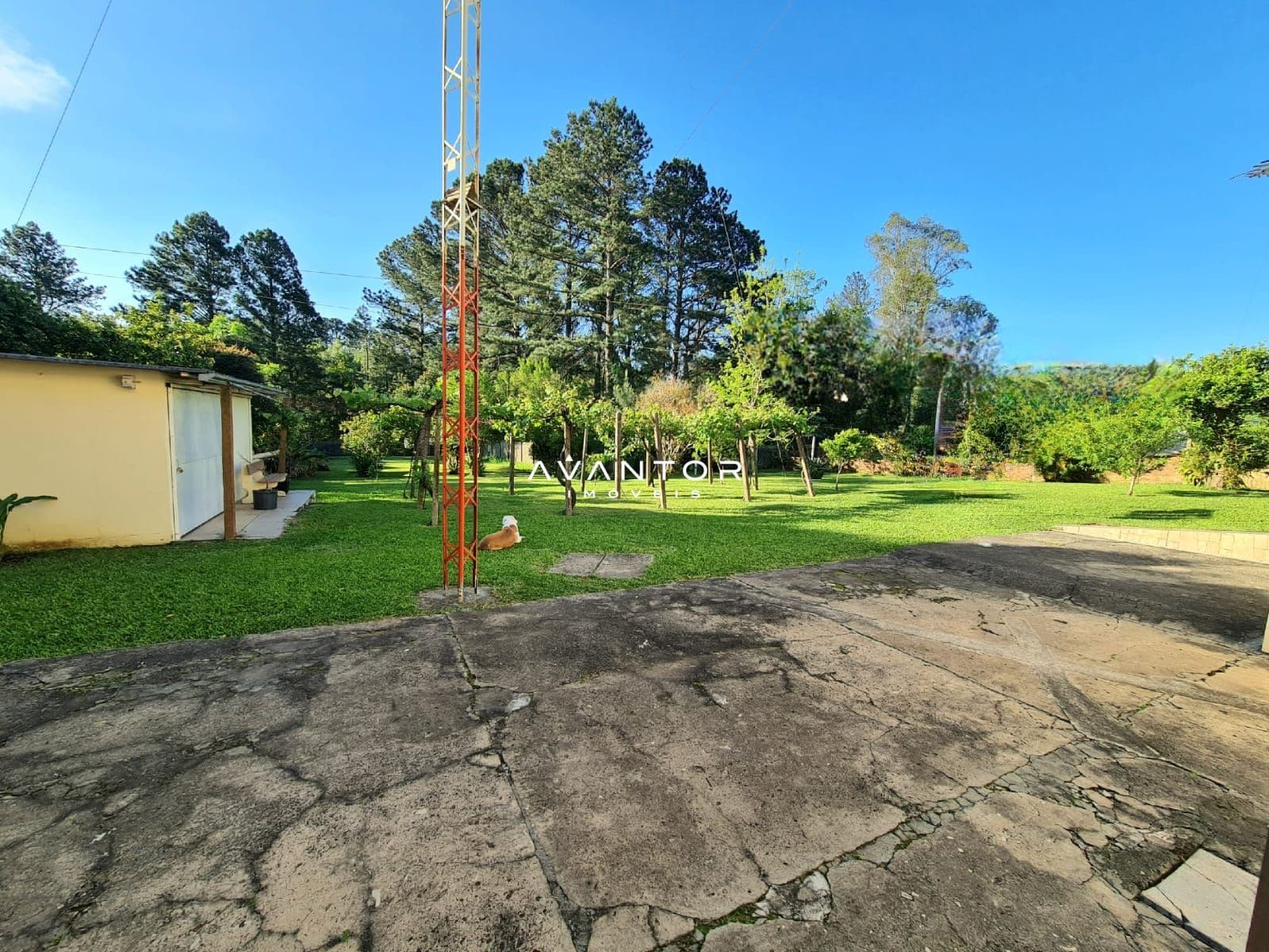 Casa com 4 quartos à venda em Tomazetti, Santa Maria/RS — foto 37 de 37