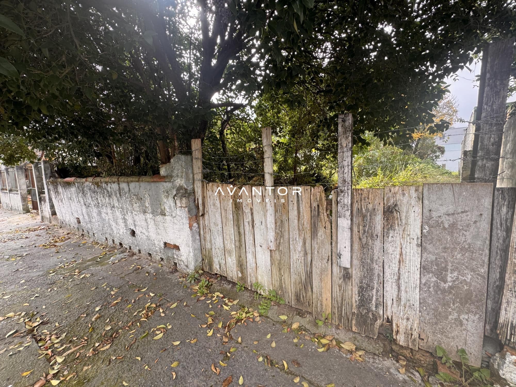 Terreno à venda em Nossa Senhora do Rosário, Santa Maria/RS — foto 3 de 4