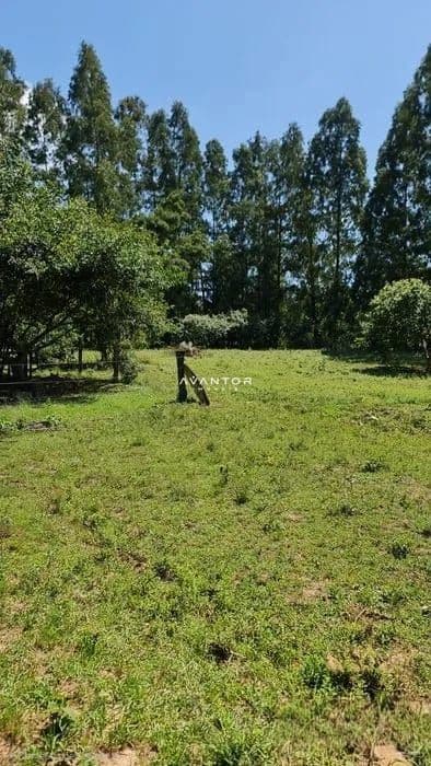 Chácara com 1 quarto à venda em Pains, Santa Maria/RS — foto 9 de 9