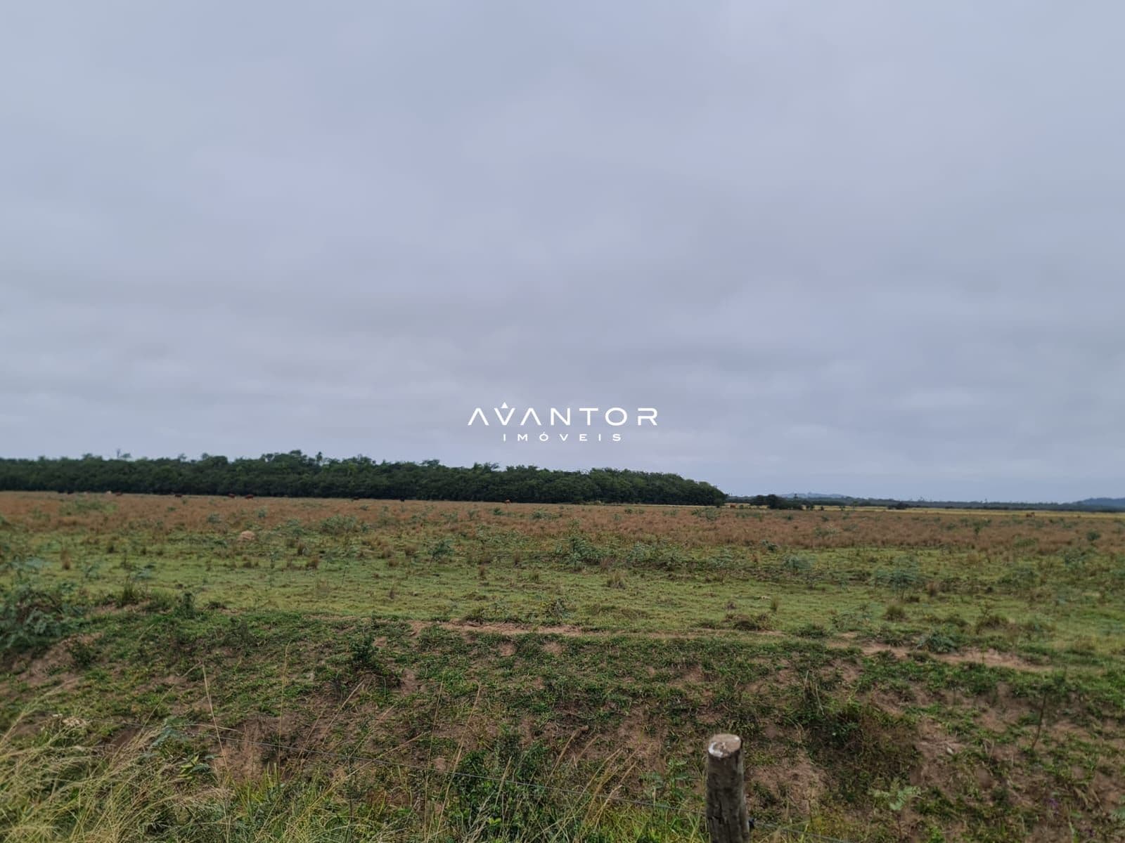 Campo à venda em Jazidas, São Sepé/RS