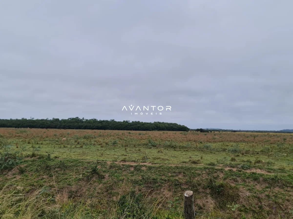 Campo à venda em Jazidas, São Sepé/RS