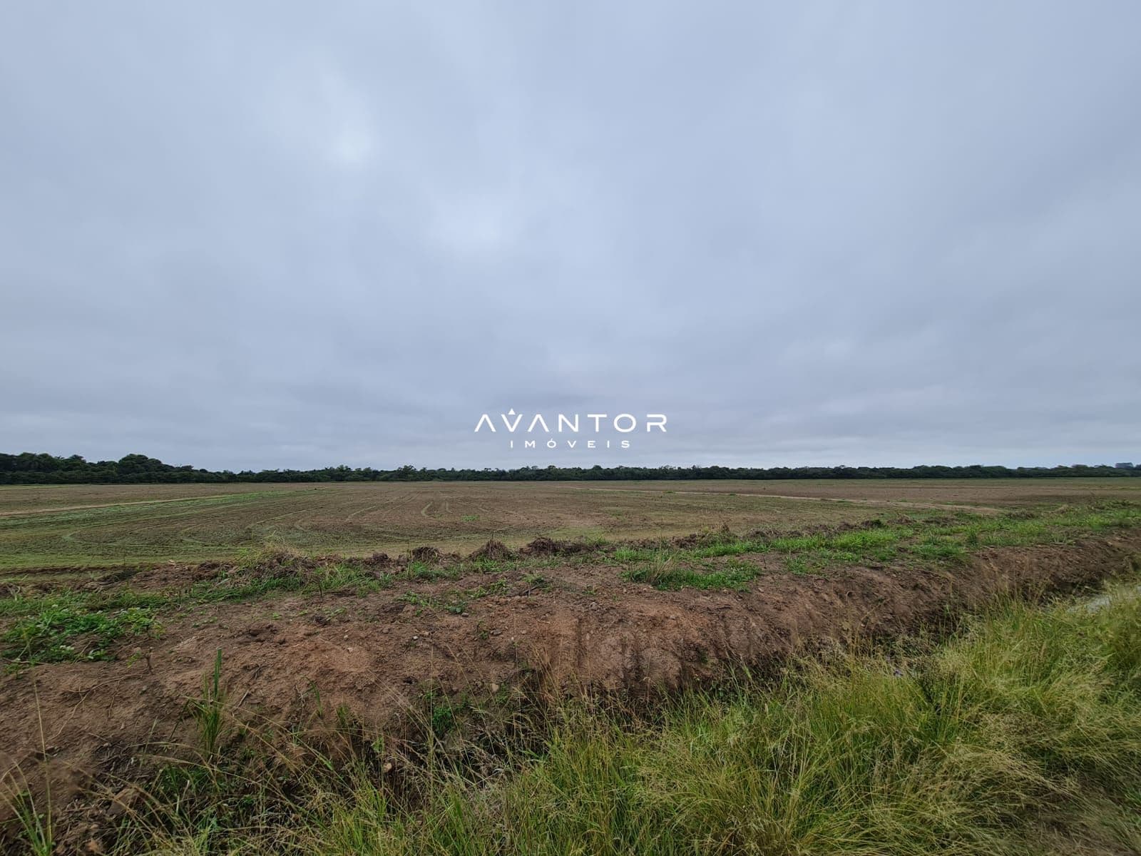 Campo à venda em Jazidas, São Sepé/RS — foto 4 de 7