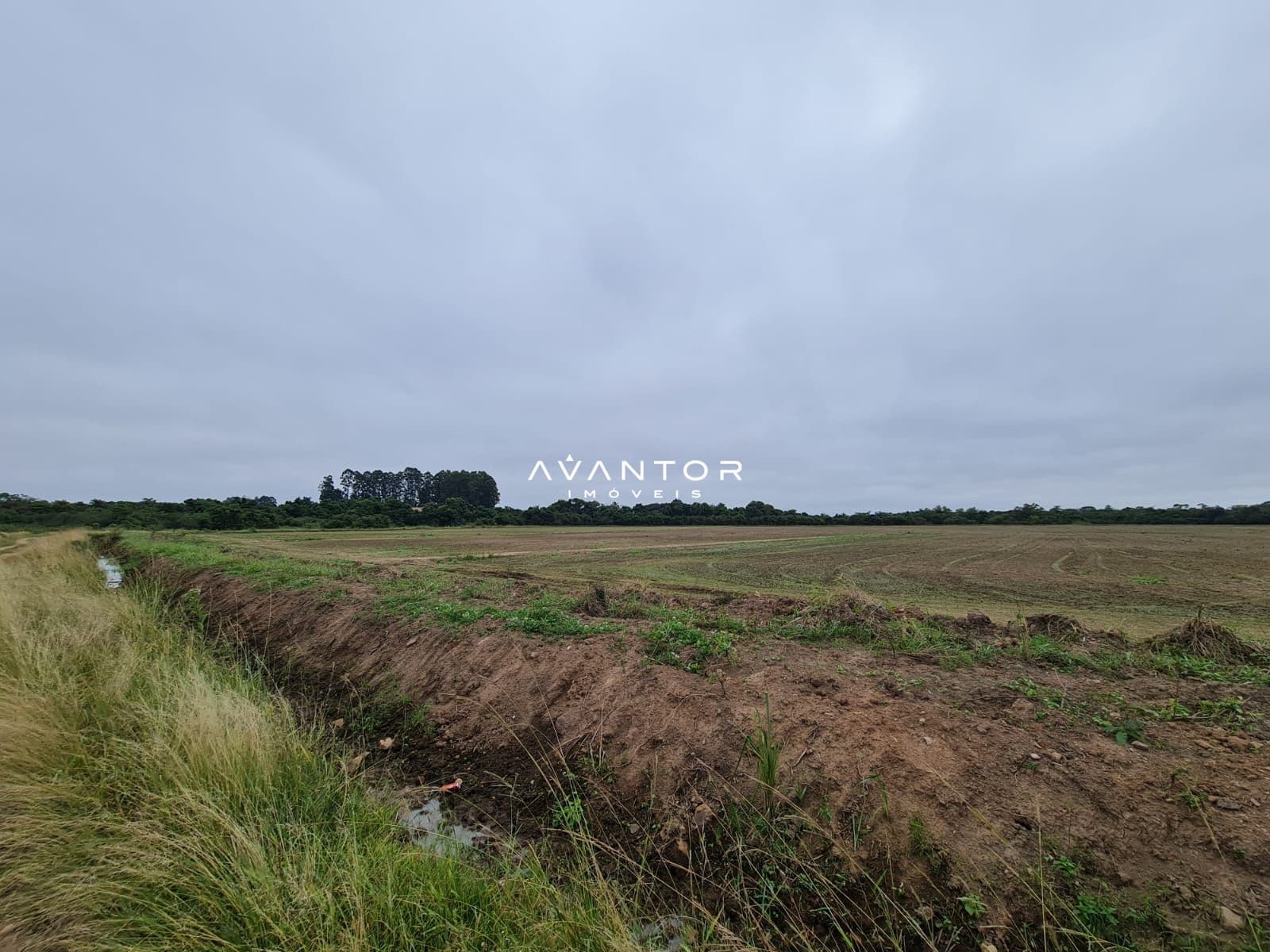 Campo à venda em Jazidas, São Sepé/RS — foto 5 de 7