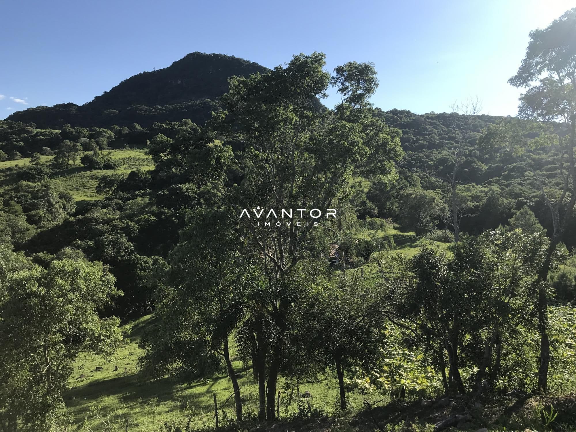 Chácara com 2 quartos à venda em Zona rural, Dona Francisca/RS — foto 12 de 25