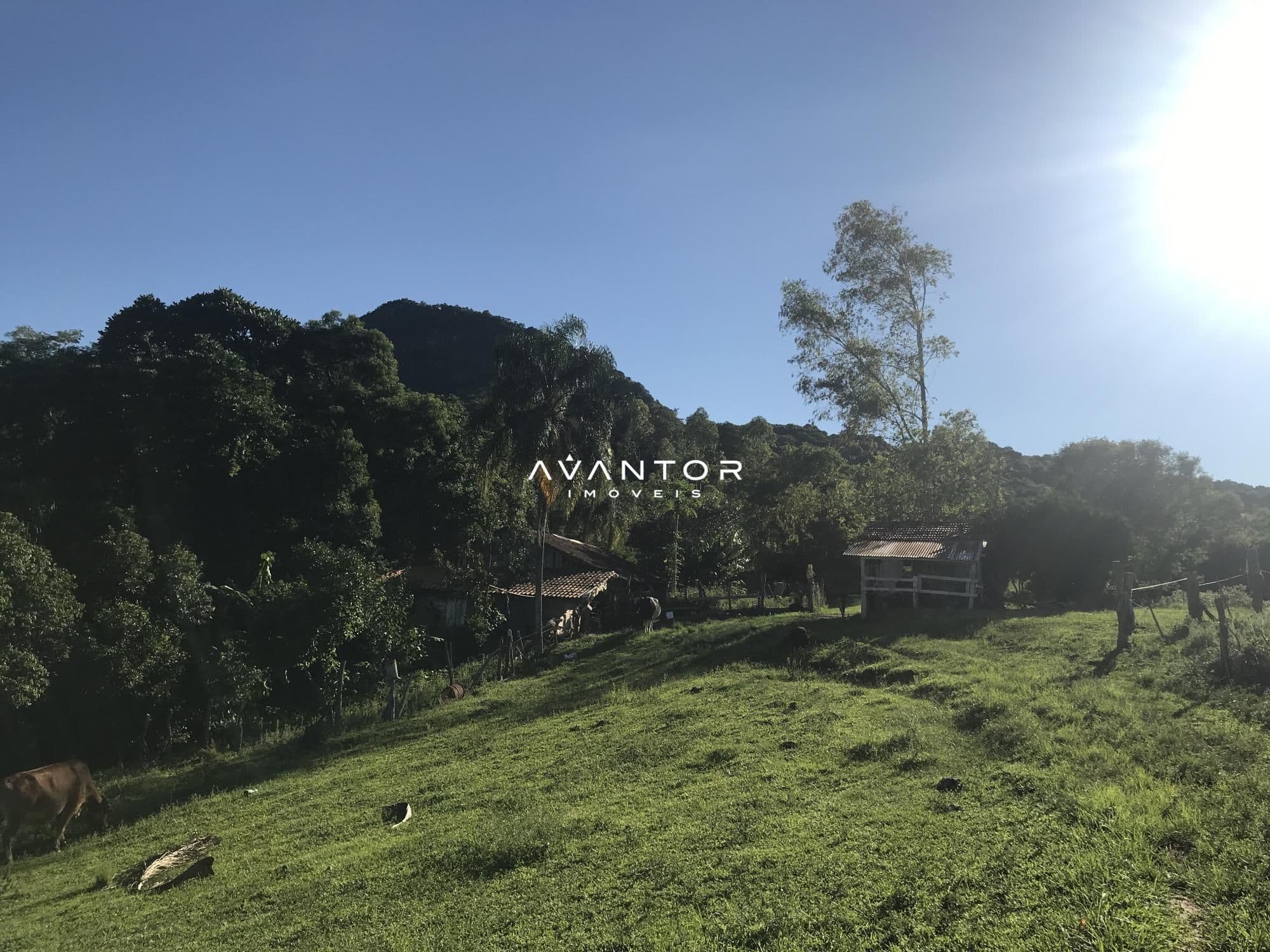Chácara com 2 quartos à venda em Zona rural, Dona Francisca/RS — foto 15 de 25
