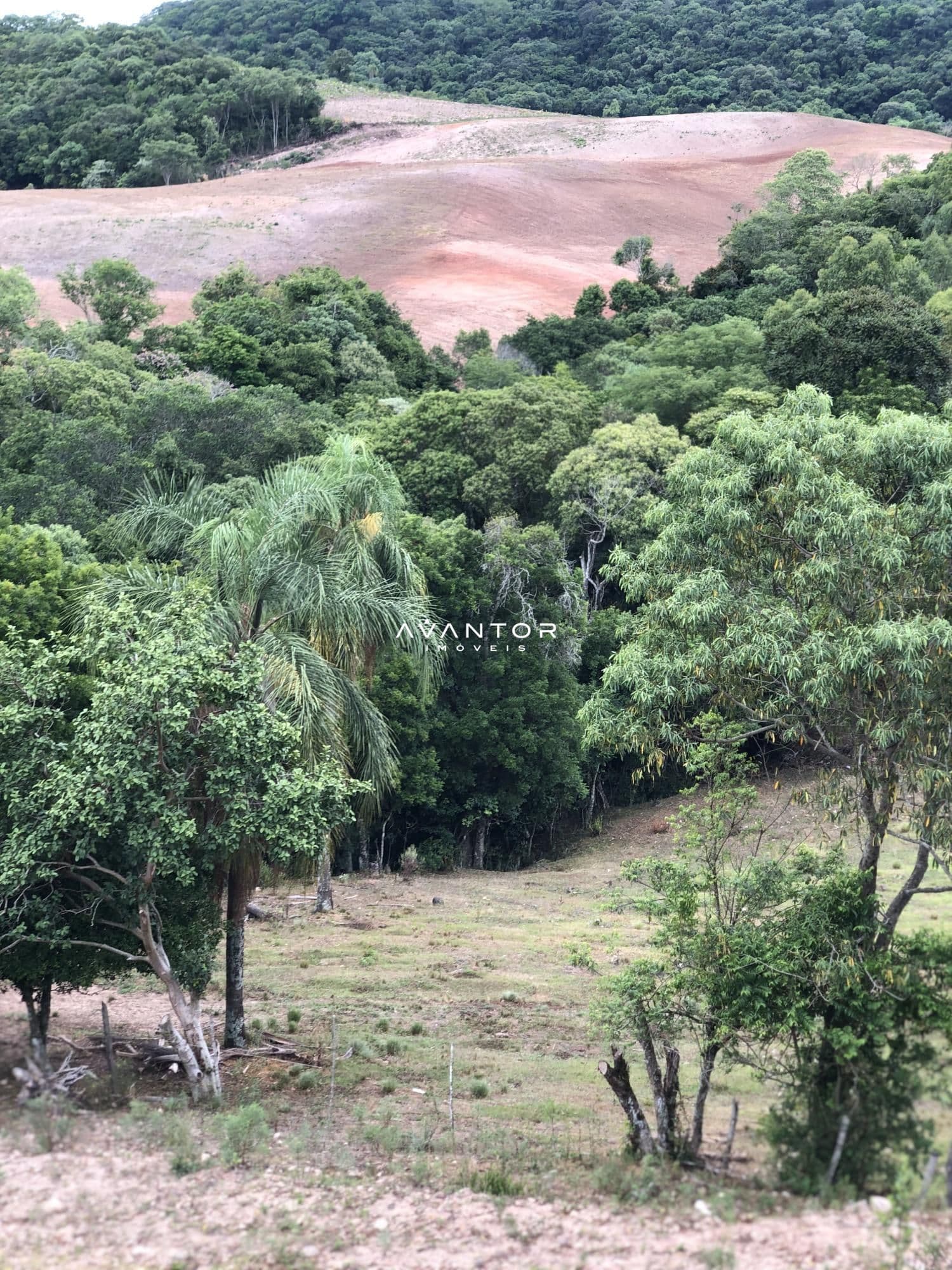 Chácara com 2 quartos à venda em Zona rural, Dona Francisca/RS — foto 22 de 25