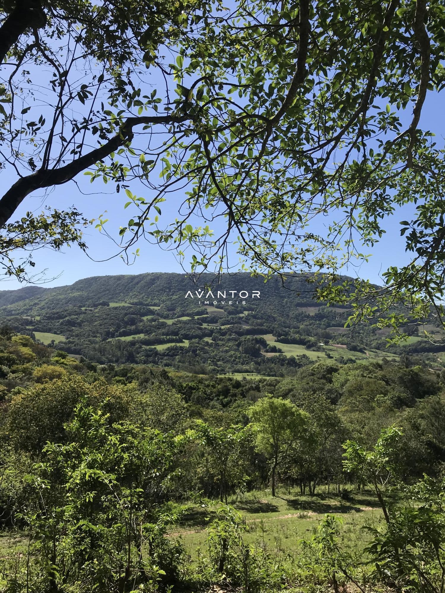 Chácara com 2 quartos à venda em Zona rural, Dona Francisca/RS — foto 24 de 25