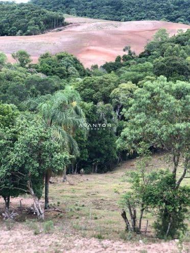 Chácara com 2 quartos à venda em Zona rural, Dona Francisca/RS — foto 25 de 25