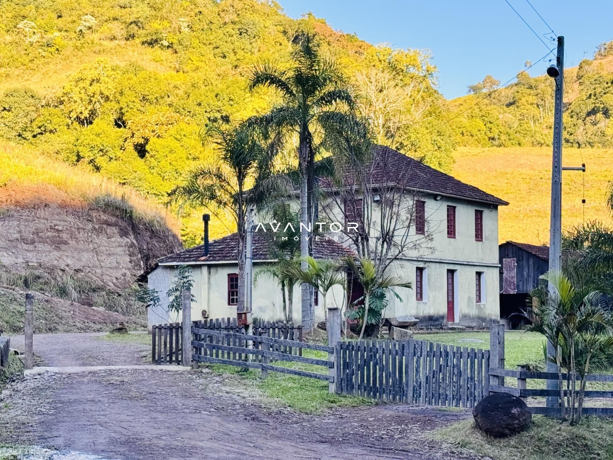 Fachada da casa com terreno e palmeiras — Chácara com 6 quartos à venda em Zona rural, Faxinal do Soturno/RS