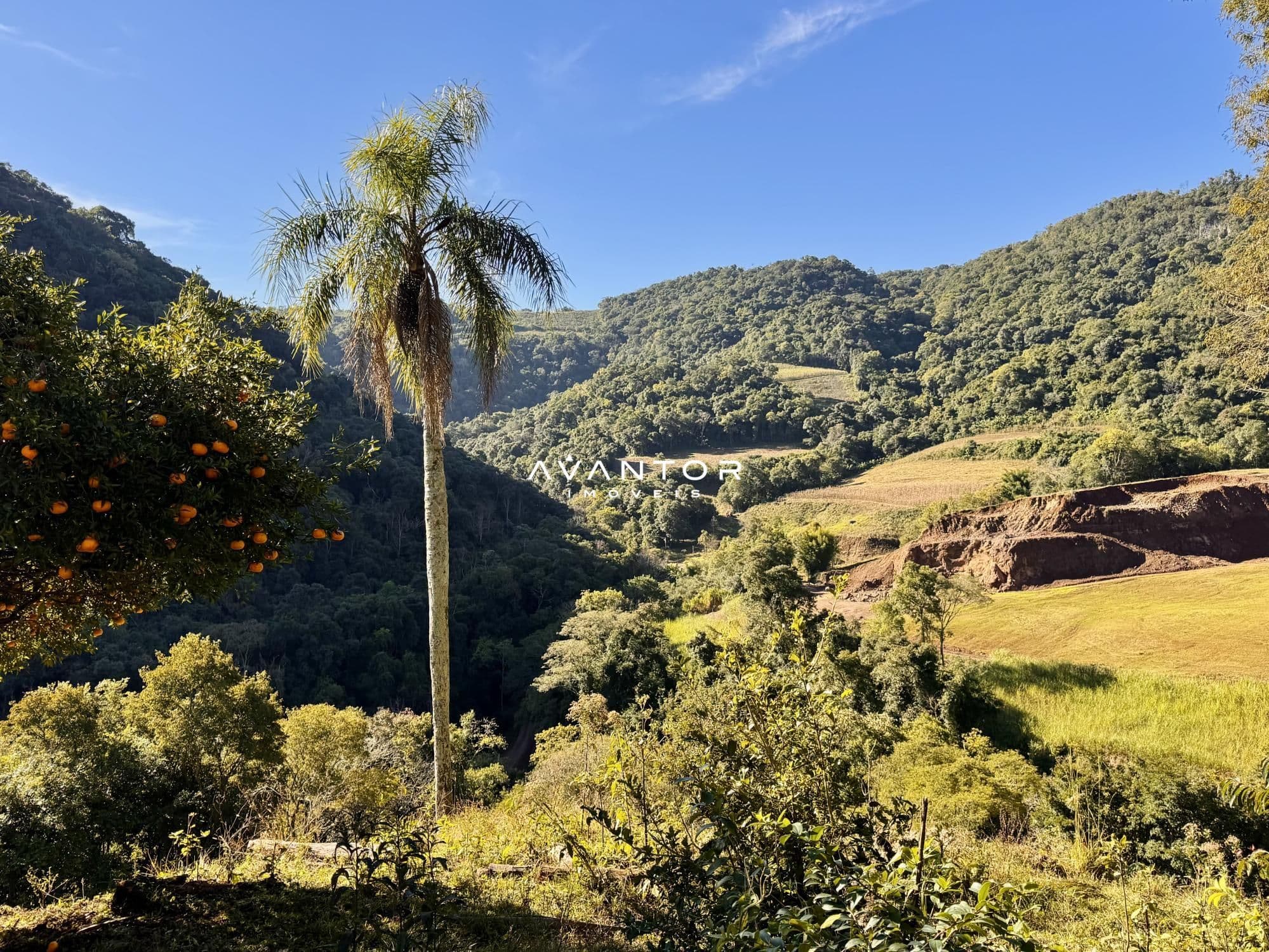 Chácara com 6 quartos à venda em Zona rural, Faxinal do Soturno/RS — foto 19 de 22