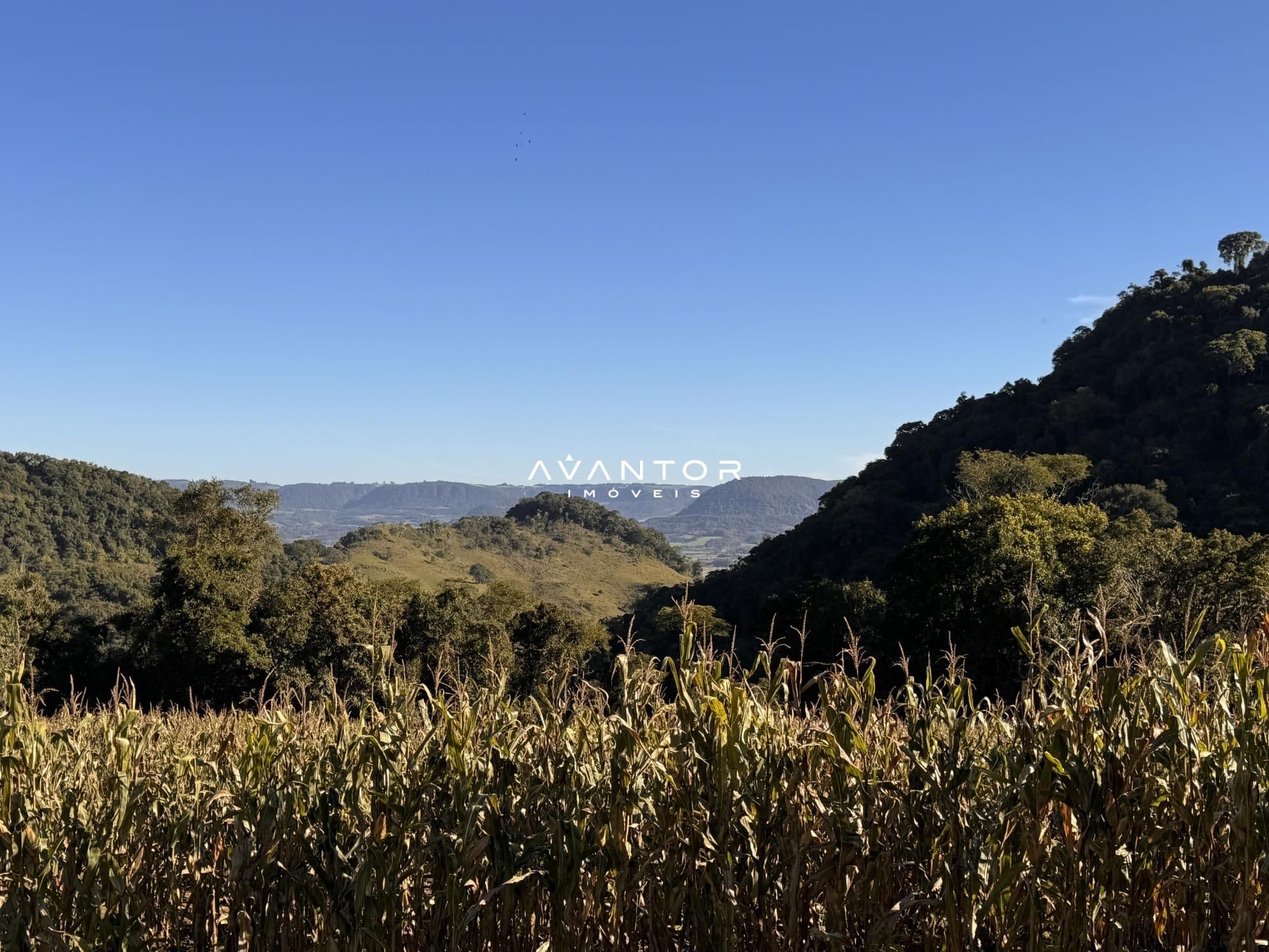 Chácara com 6 quartos à venda em Zona rural, Faxinal do Soturno/RS — foto 22 de 22