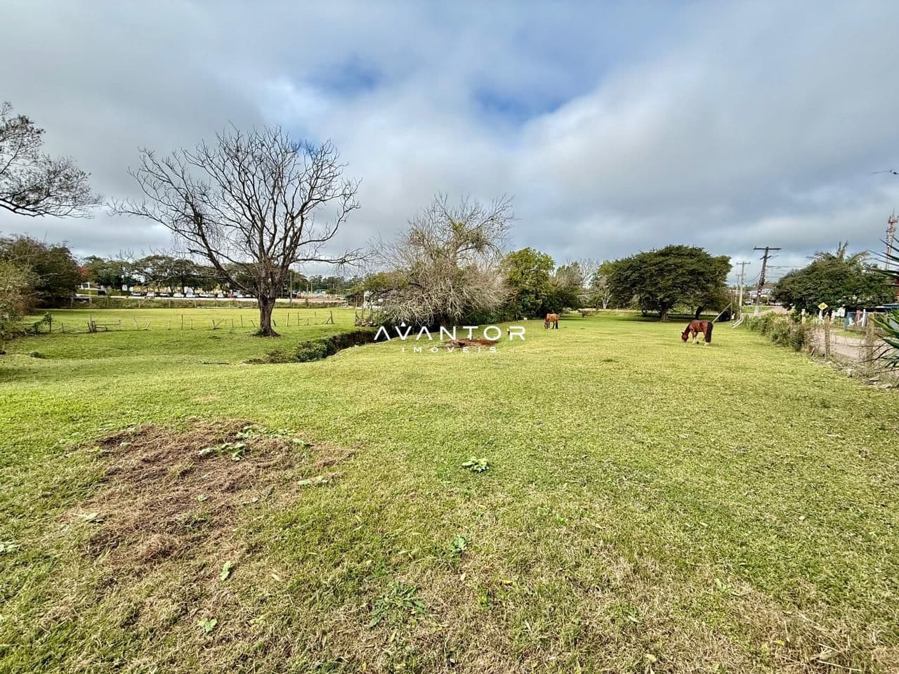 Terreno com áreas verdes e árvores — Terreno à venda em Camobi, Santa Maria/RS