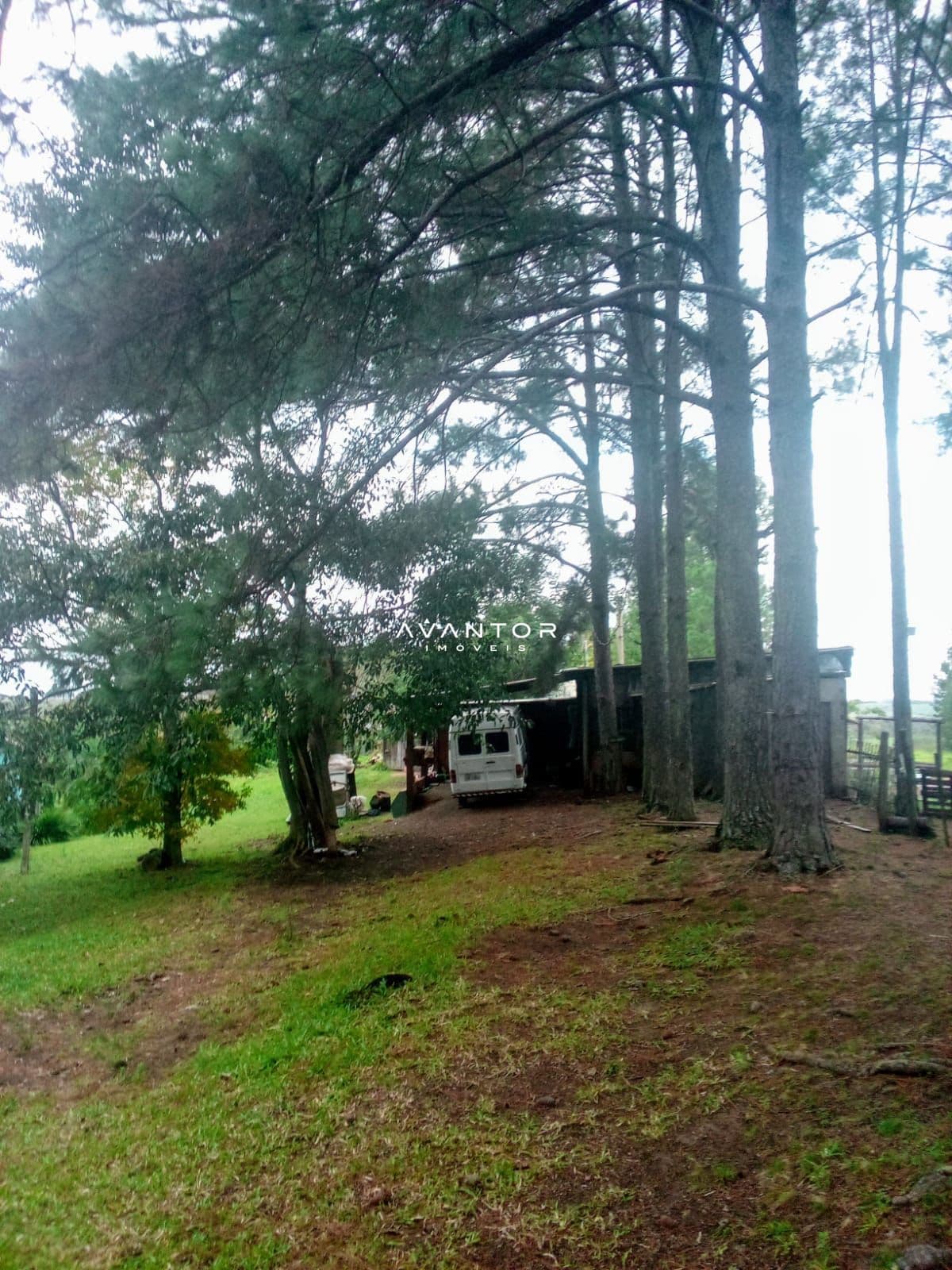 Chácara com 6 quartos à venda em Zona Rural, São Pedro do Sul/RS — foto 6 de 10