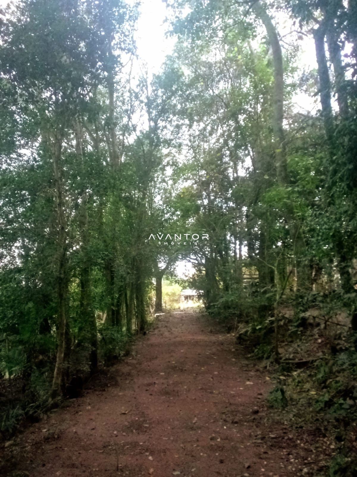 Chácara com 6 quartos à venda em Zona Rural, São Pedro do Sul/RS — foto 8 de 10
