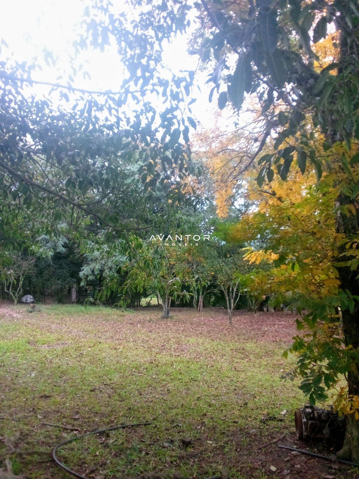 Chácara com 6 quartos à venda em Zona Rural, São Pedro do Sul/RS — foto 9 de 10