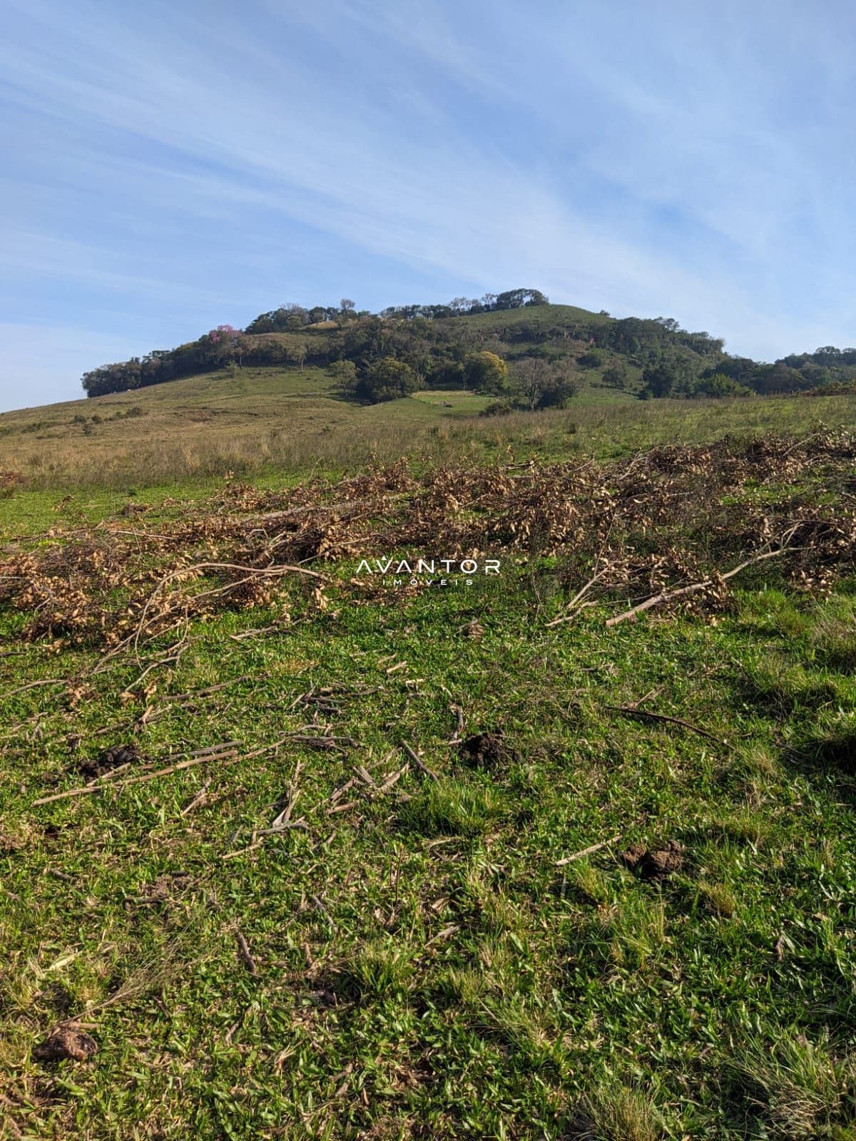 Terreno com vegetação e relevo montanhoso — Campo à venda em Zona rural, São Martinho da Serra/RS