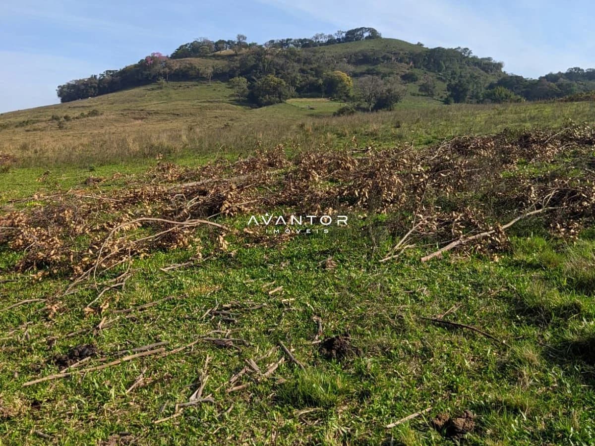 Terreno com vegetação e relevo montanhoso — Campo à venda em Zona rural, São Martinho da Serra/RS