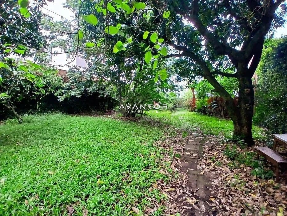 Casa com 3 quartos para alugar em Centro, Santa Maria/RS — foto 14 de 14
