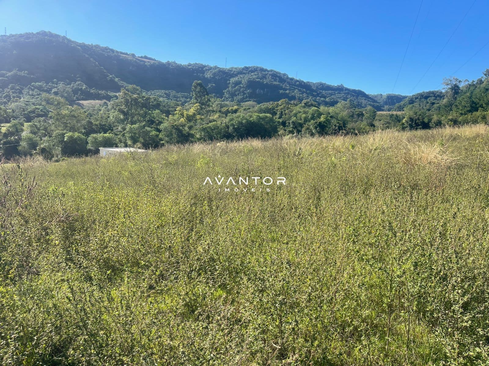 Campo à venda em Campestre do Menino Deus, Santa Maria/RS — foto 2 de 3