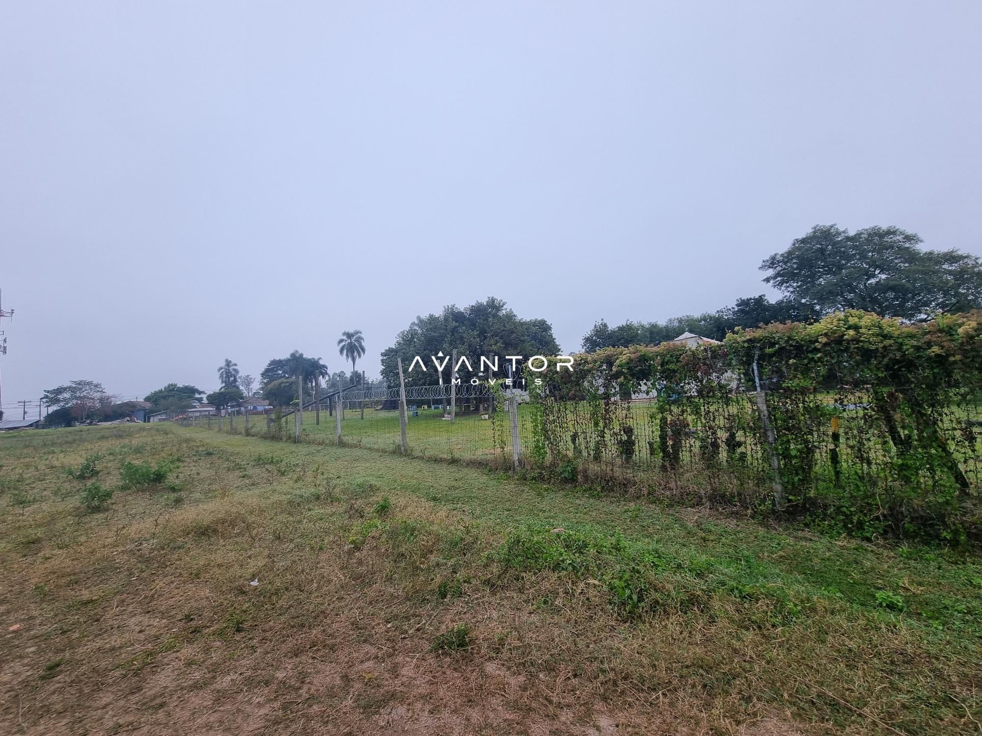 Terreno para alugar em Camobi, Santa Maria/RS — foto 8 de 9