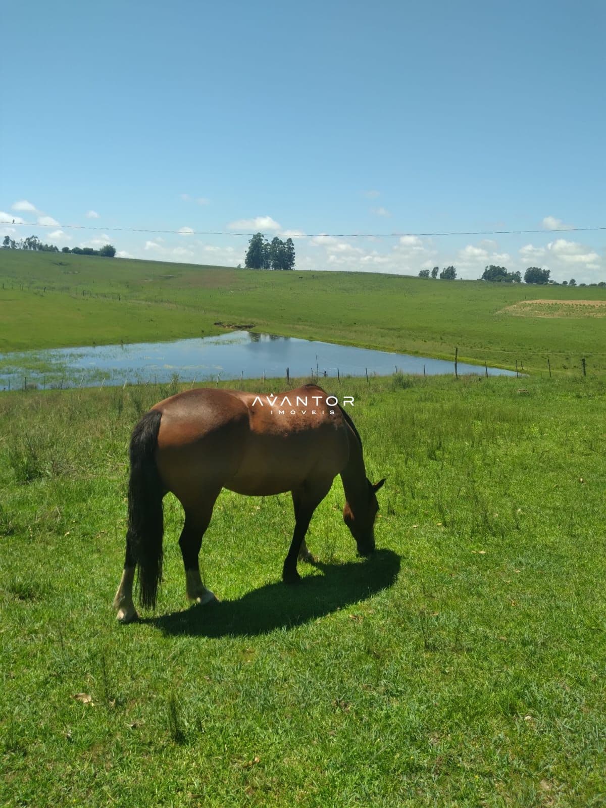 Campo à venda em Interior, São Gabriel/RS