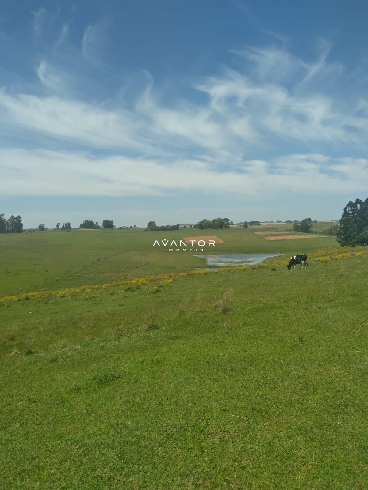 Campo à venda em Interior, São Gabriel/RS — foto 5 de 6