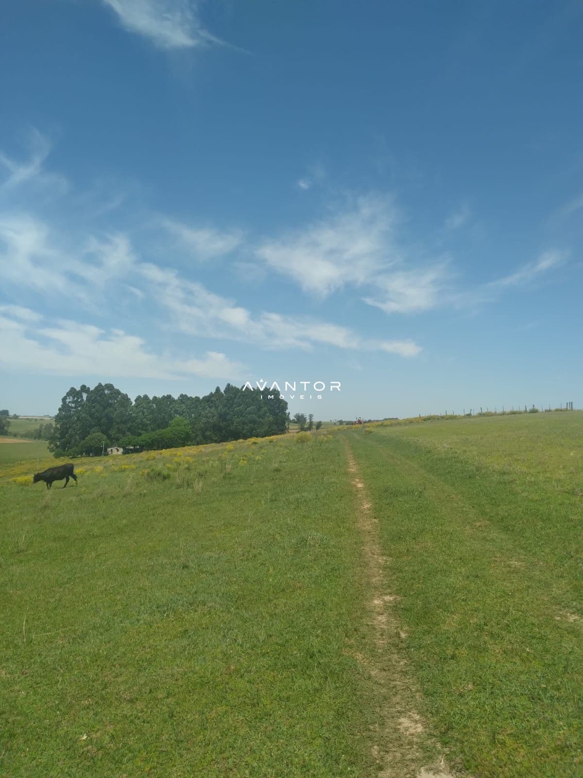 Campo à venda em Interior, São Gabriel/RS — foto 6 de 6