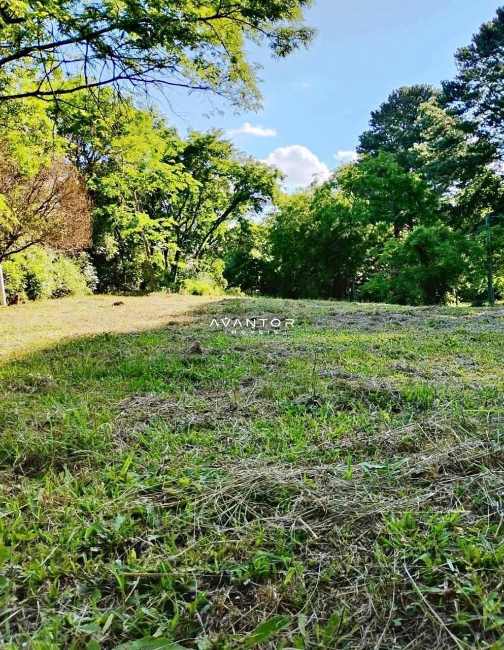 Terreno com vegetação e árvores — Terreno à venda em Parque Serrano, Itaara/RS