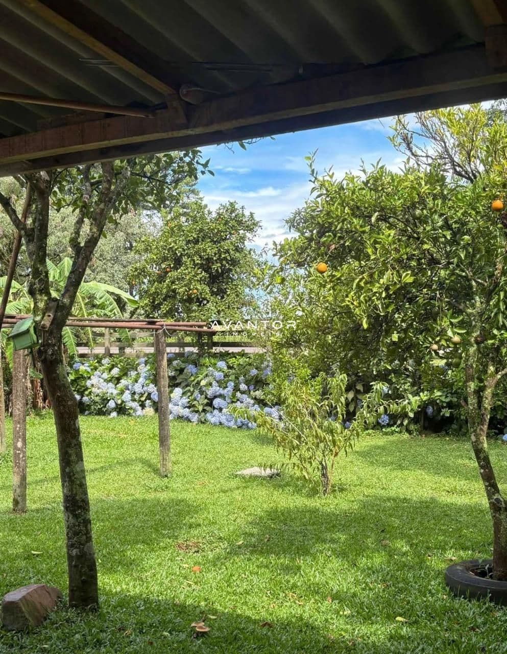 Chácara com 2 quartos à venda em Km 23, Itaara/RS — foto 9 de 12