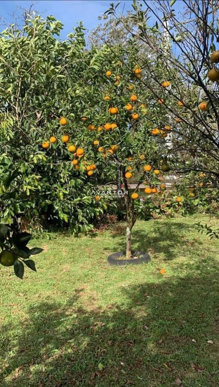 Chácara com 2 quartos à venda em Km 23, Itaara/RS — foto 10 de 12
