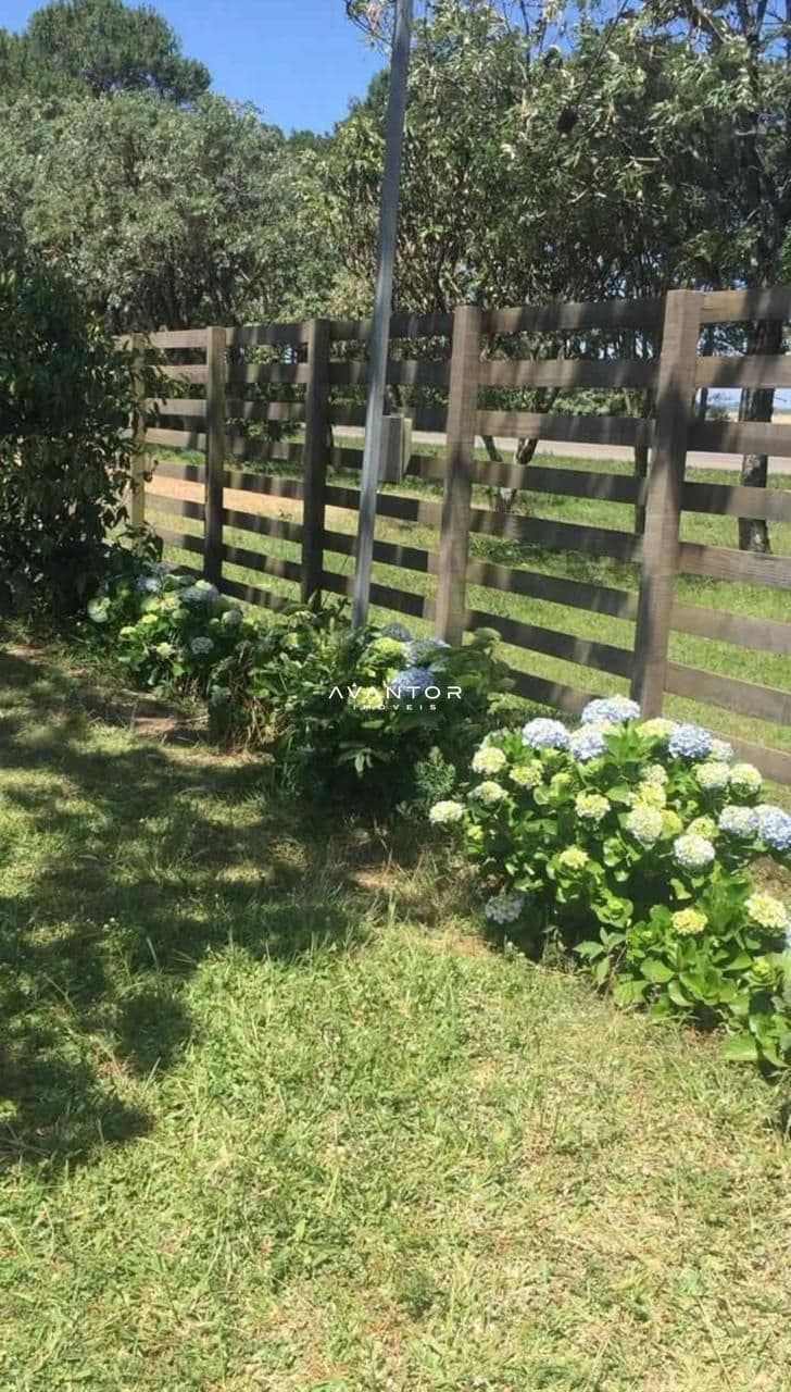 Chácara com 2 quartos à venda em Km 23, Itaara/RS — foto 11 de 12