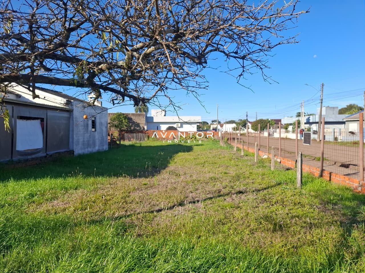 Terreno com construção e árvore — Terreno à venda em Pé de Plátano, Santa Maria/RS