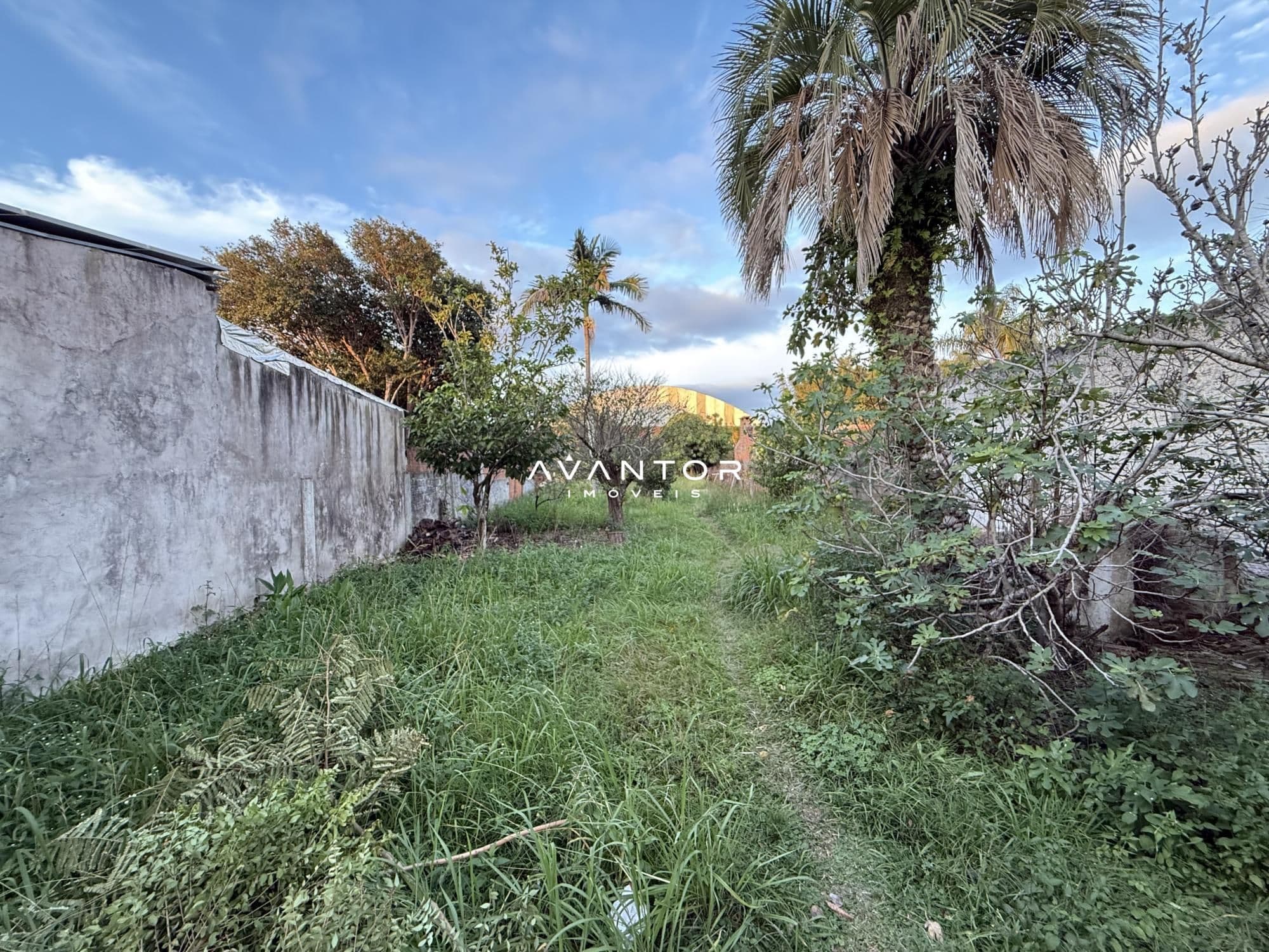 Terreno à venda em Passo D'Areia, Santa Maria/RS — foto 3 de 5