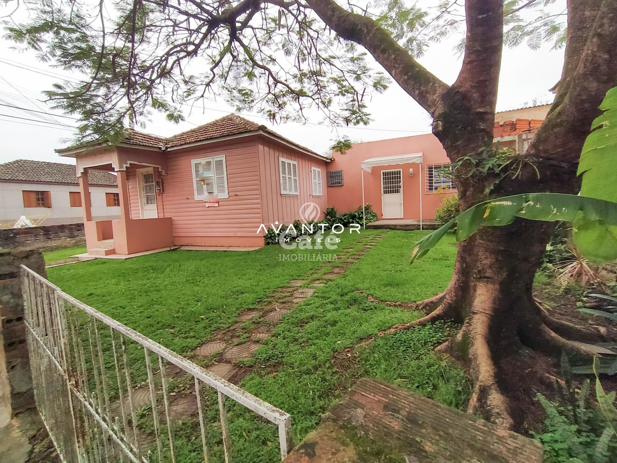 Fachada da casa com pátio e árvore grande — Terreno à venda em Nossa Senhora de Fátima, Santa Maria/RS