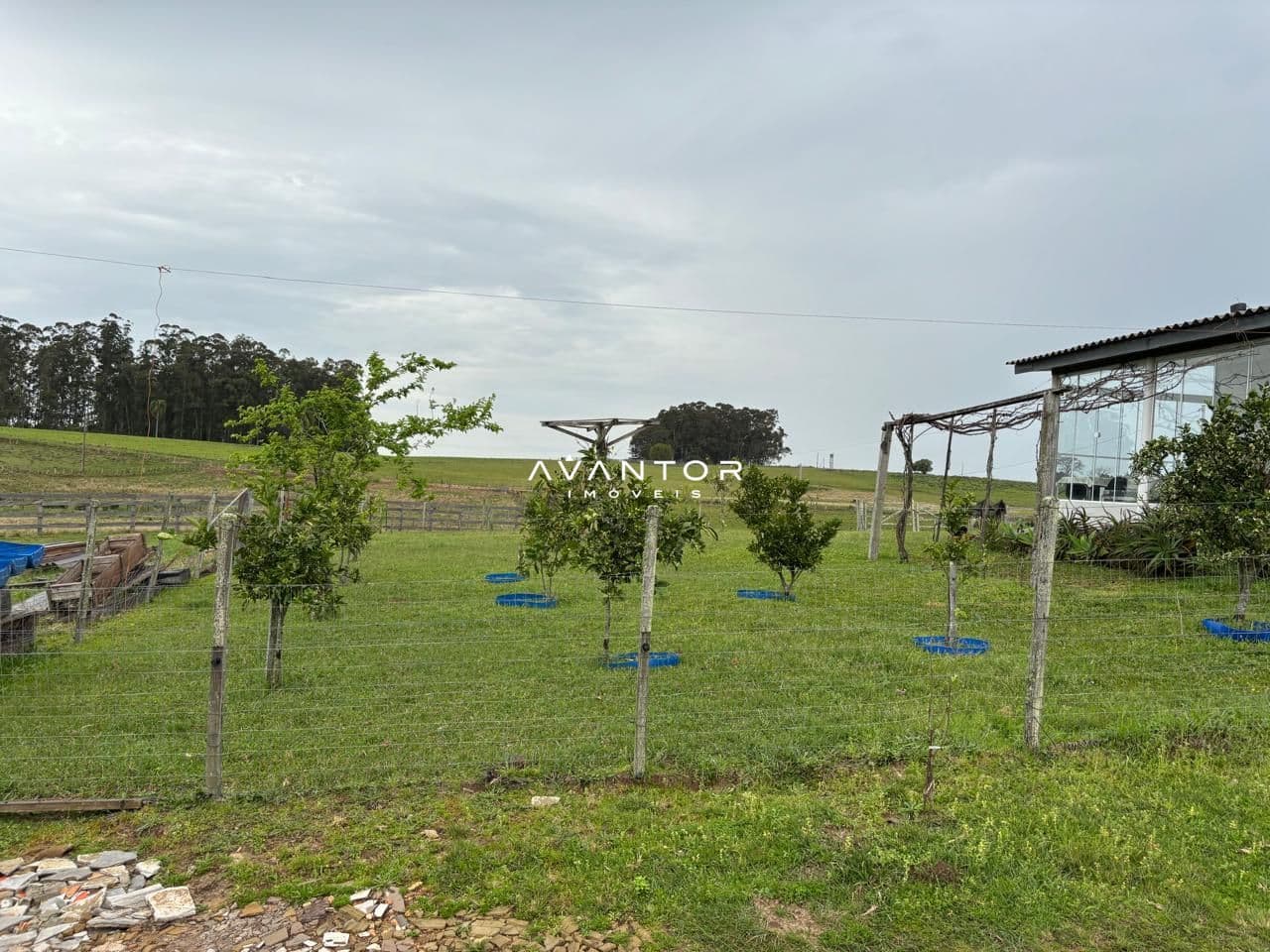 Chácara com 2 quartos à venda em Interior, Dilermando de Aguiar/RS — foto 10 de 17