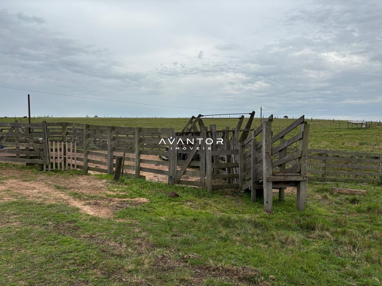 Chácara com 2 quartos à venda em Interior, Dilermando de Aguiar/RS — foto 15 de 17
