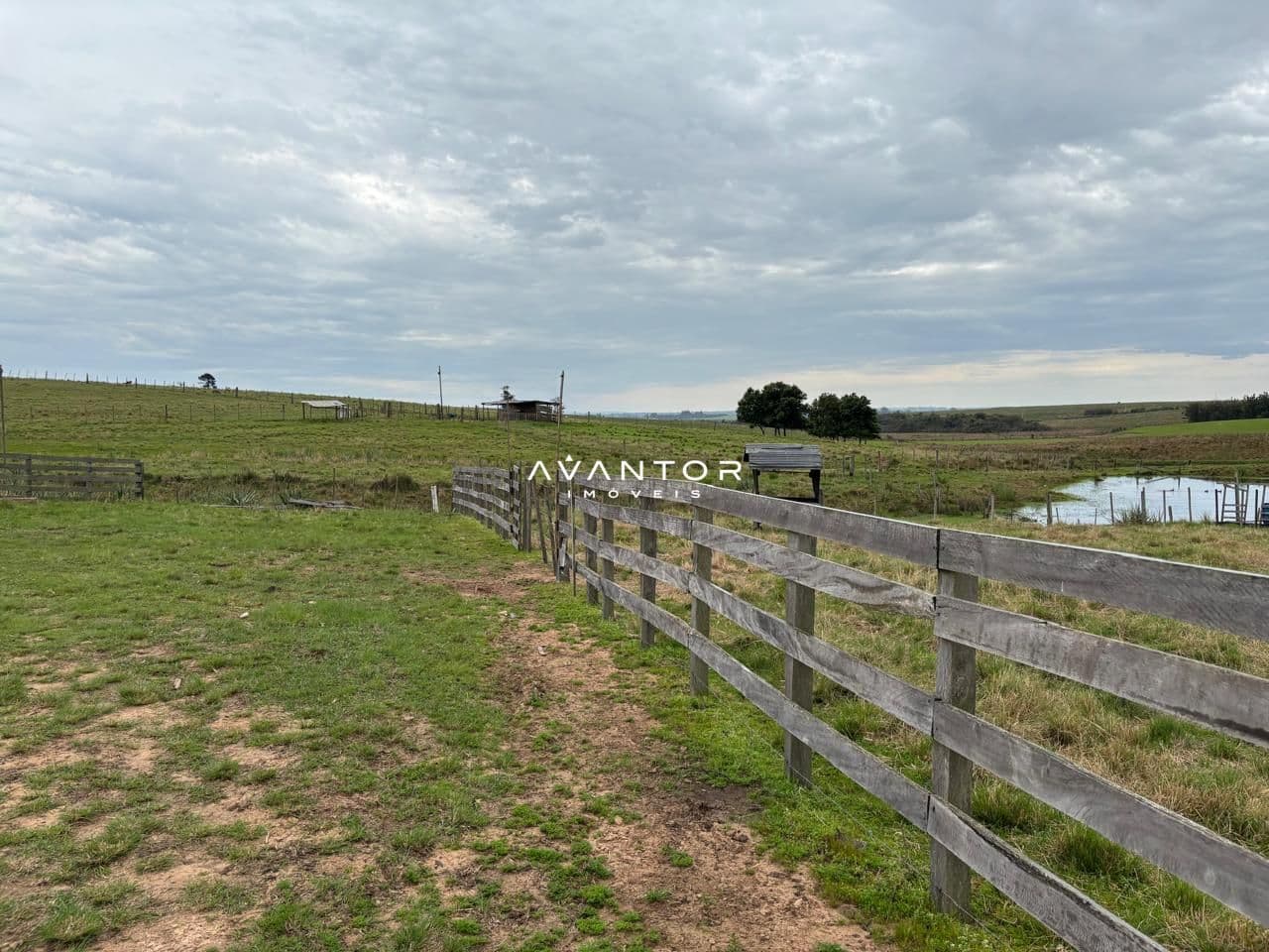 Chácara com 2 quartos à venda em Interior, Dilermando de Aguiar/RS — foto 17 de 17